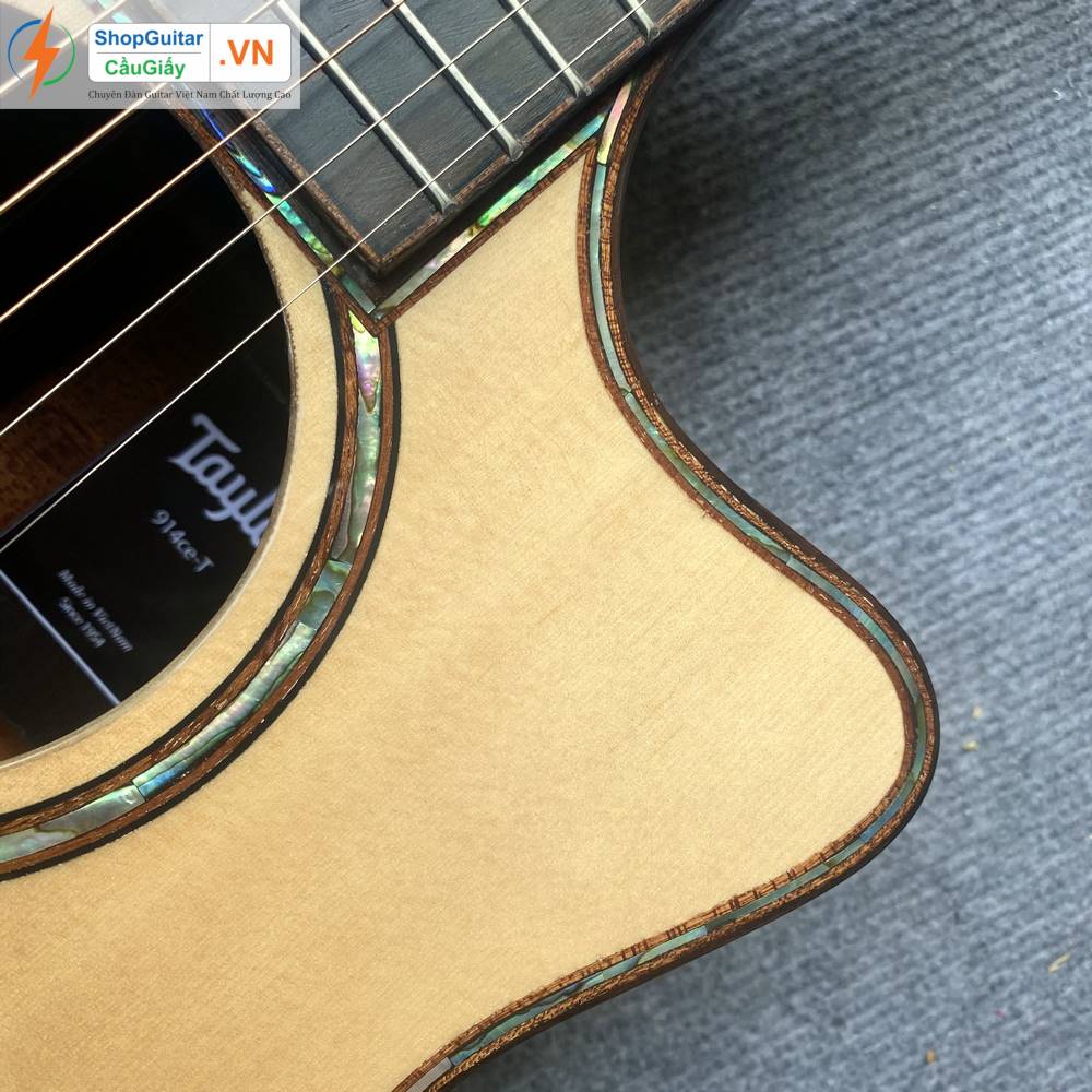 01 08 Dan Guitar Taylor 914ce vn custom rep1 1 Goku Guitar F914ce