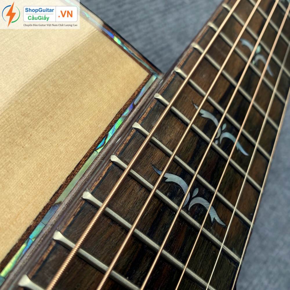 01 09 Dan Guitar Taylor 914ce vn custom rep1 1 Goku Guitar F914ce