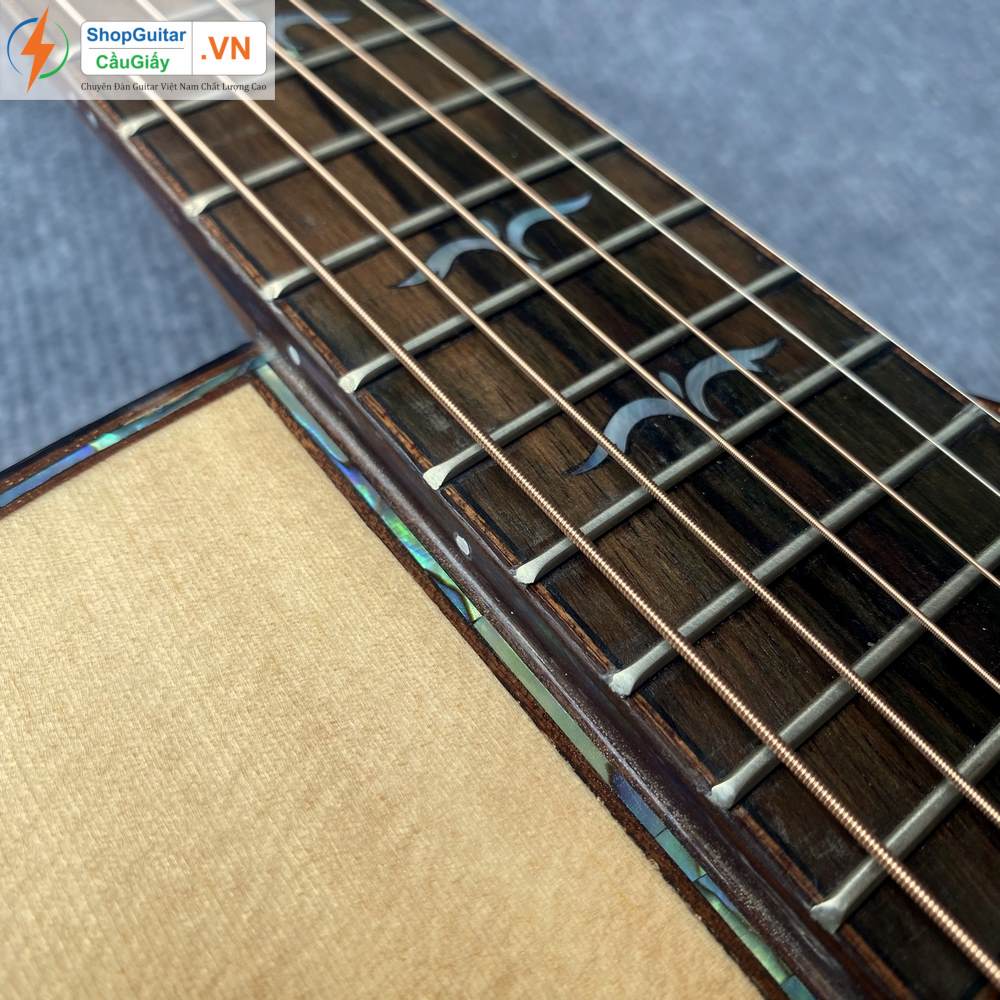 01 10 Dan Guitar Taylor 914ce vn custom rep1 1 Goku Guitar F914ce