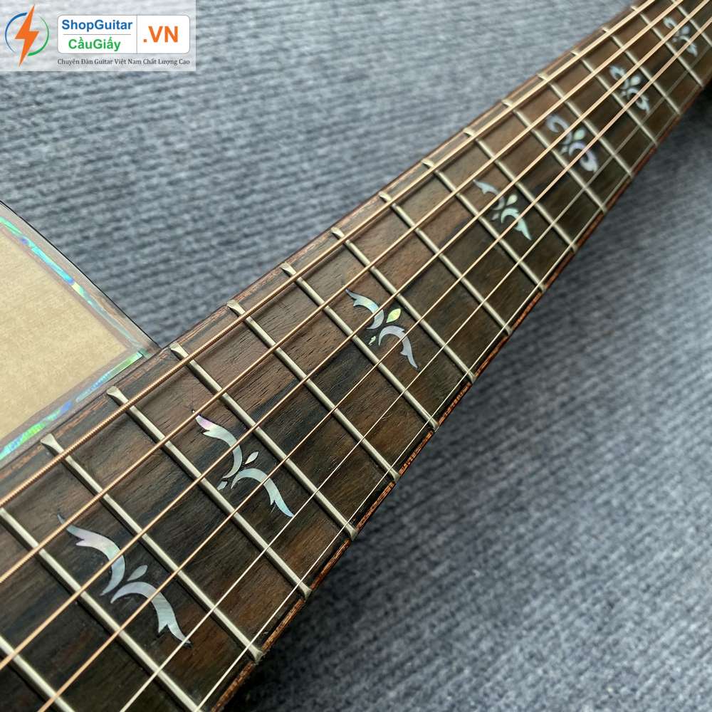 01 11 Dan Guitar Taylor 914ce vn custom rep1 1 Goku Guitar F914ce