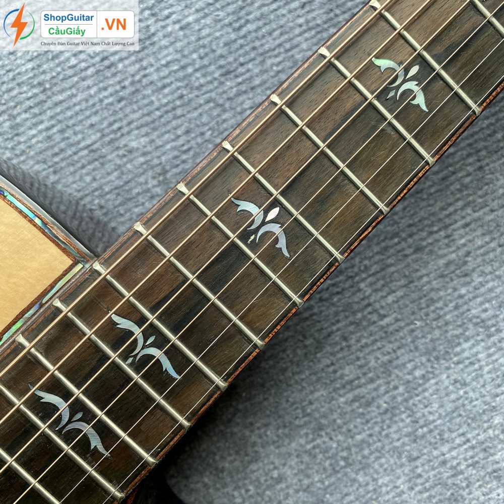 01 12 Dan Guitar Taylor 914ce vn custom rep1 1 Goku Guitar F914ce