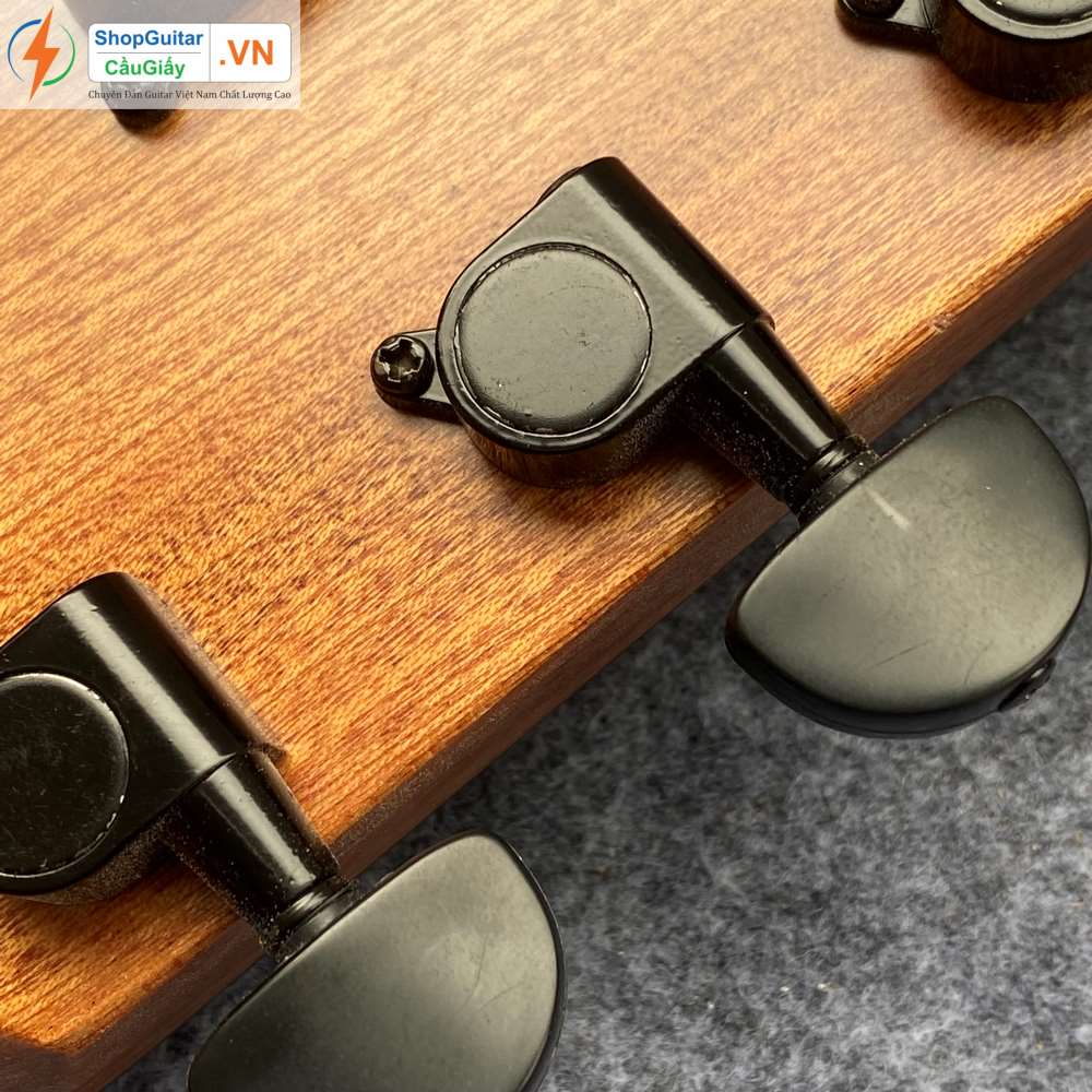 01 14 Dan Guitar Lakewood vn custom rep1 1 Goku Guitar F4L