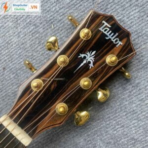 01 15 Dan Guitar Taylor 914ce vn custom rep1 1 Goku Guitar F914ce