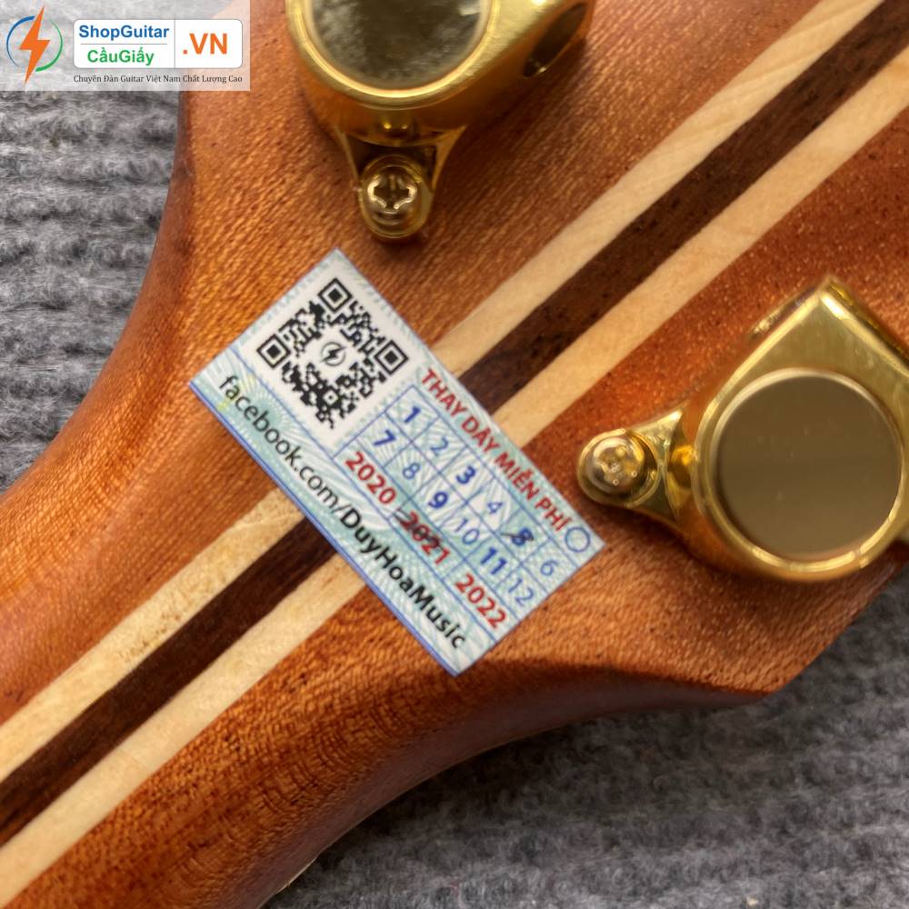 01 20 Dan Guitar Taylor 914ce vn custom rep1 1 Goku Guitar F914ce