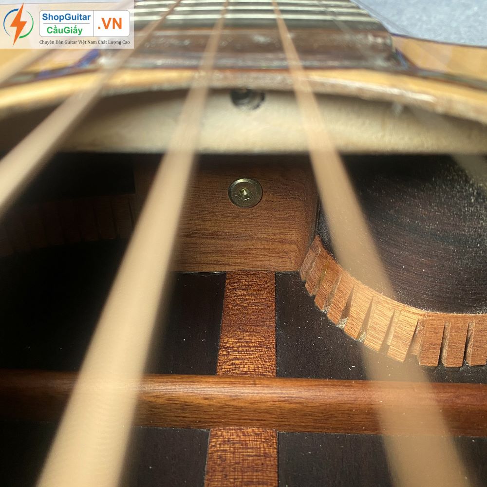 01 21 Dan Guitar Taylor 914ce vn custom rep1 1 Goku Guitar F914ce