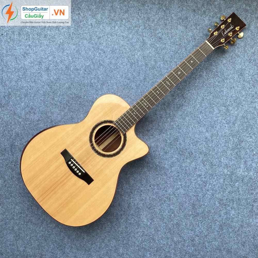 02 03 Dan Guitar Lakewood vn custom rep1 1 Goku Guitar