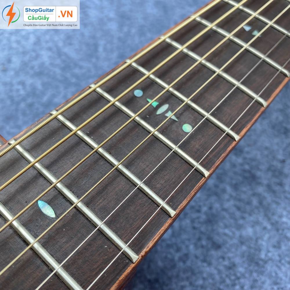 02 08 Dan Guitar Lakewood vn custom rep1 1 Goku Guitar