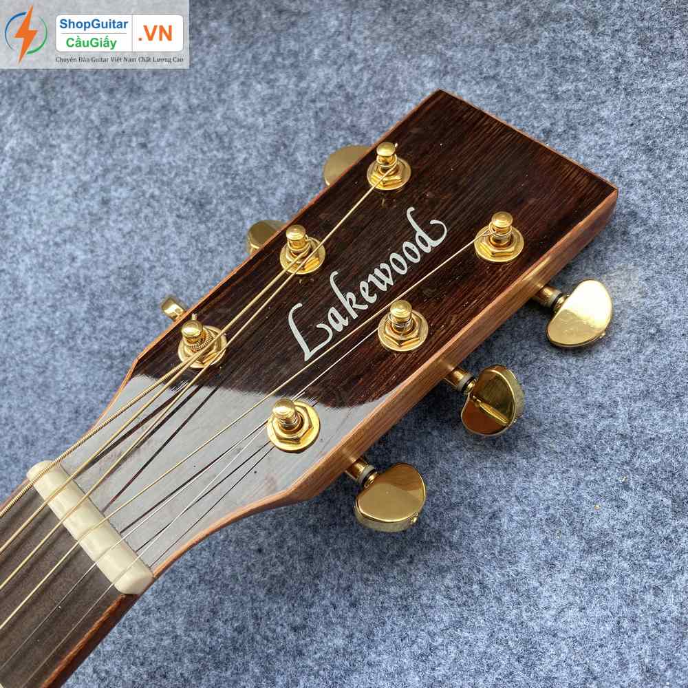 02 09 Dan Guitar Lakewood vn custom rep1 1 Goku Guitar