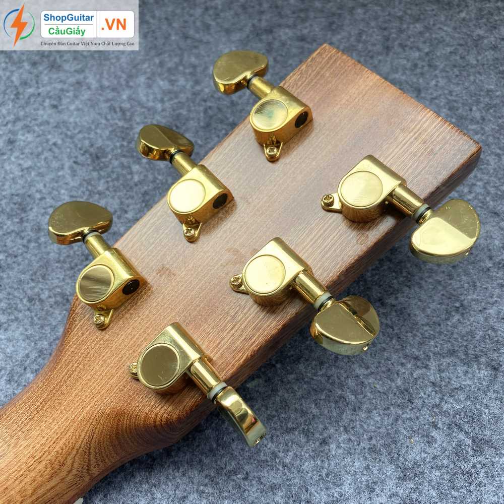 02 14 Dan Guitar Lakewood vn custom rep1 1 Goku Guitar