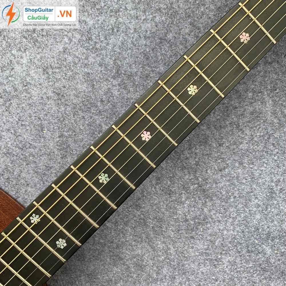 Đàn Guitar Lakewood M32Cp Custom Vn F4M32Cp Rep 1:1 - Shop Guitar Cầu Giấy  Vn
