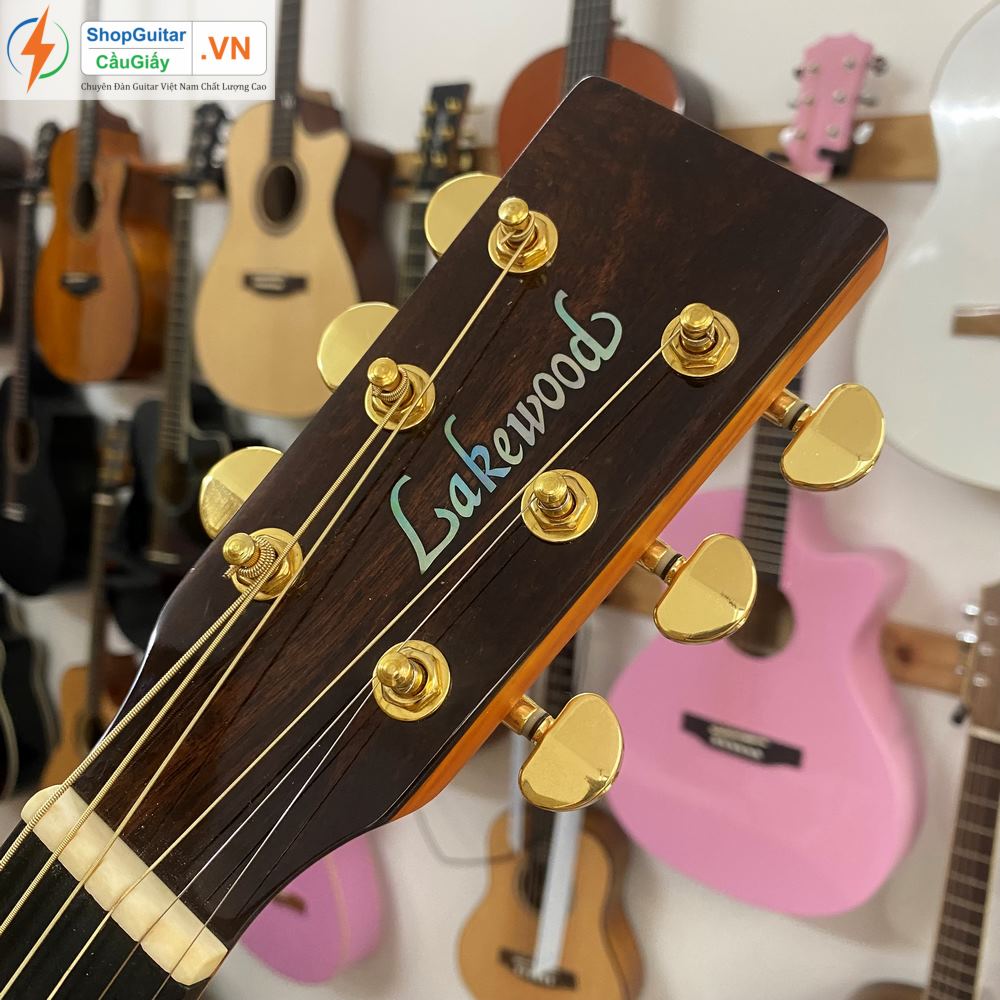 04 09 Dan Guitar Lakewood M32cp vn custom rep1 1 Goku Guitar F4M32cp