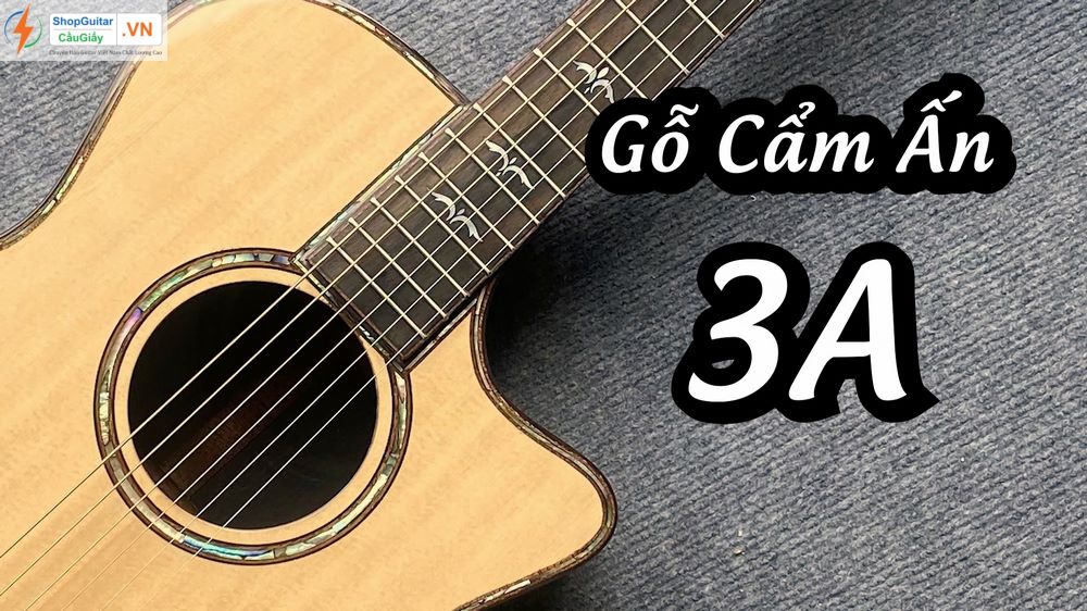 23.1 Dan Guitar Taylor 914ce vn custom rep1 1 Goku Guitar F914ce Shop Guitar Cau Giay VN Ha Noi